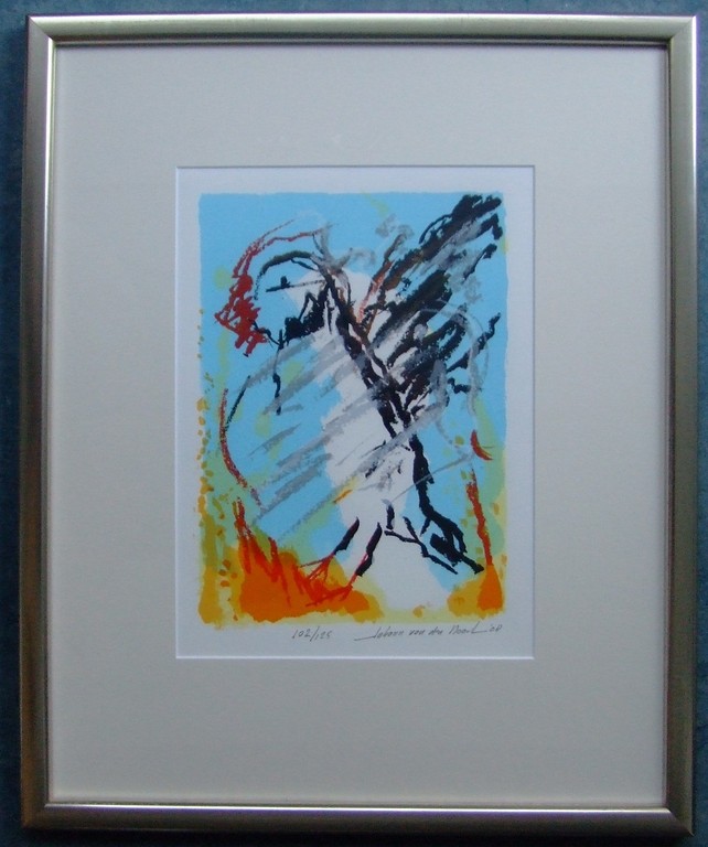 JOHANN VAN DEN NOORT, “Set van drie Papagaai duikers” 2008, zeefdruk. kopen? Bied vanaf 200!