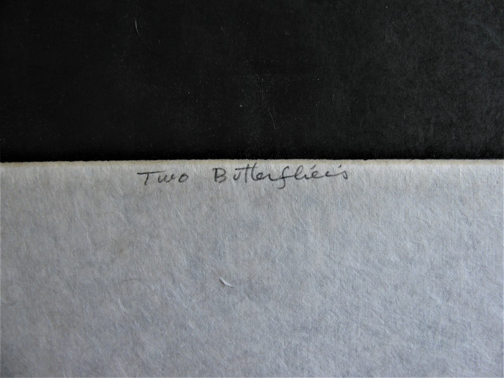 Tomoe YOKOI, "Twee vlinders", schitterende kleurets, genummerd en gesigneerd kopen? Bied vanaf 25!