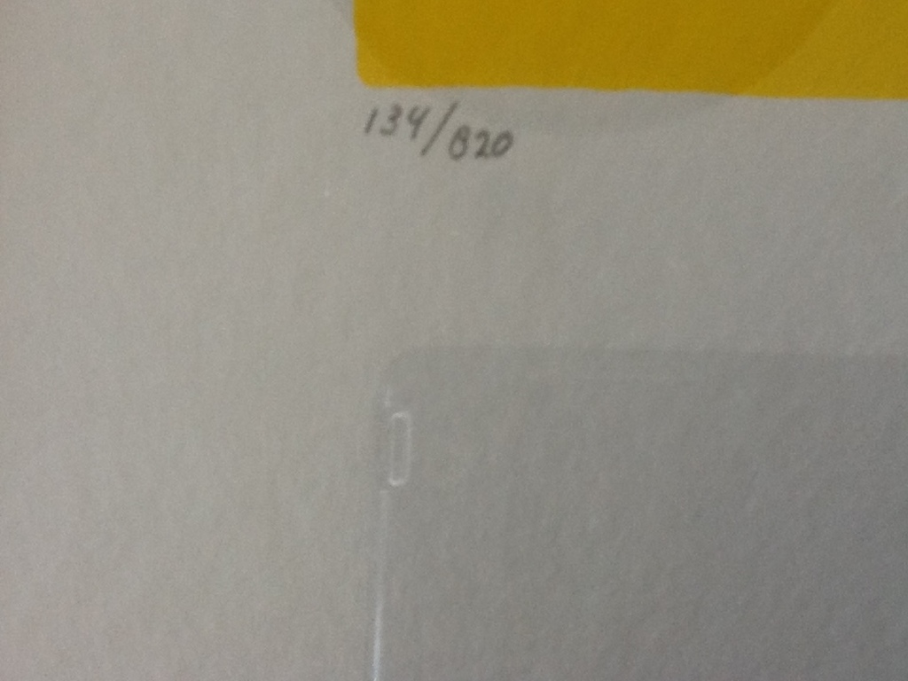 Lindy de Jong : Handgesigneerde kleurenlitho kopen? Bied vanaf 20!