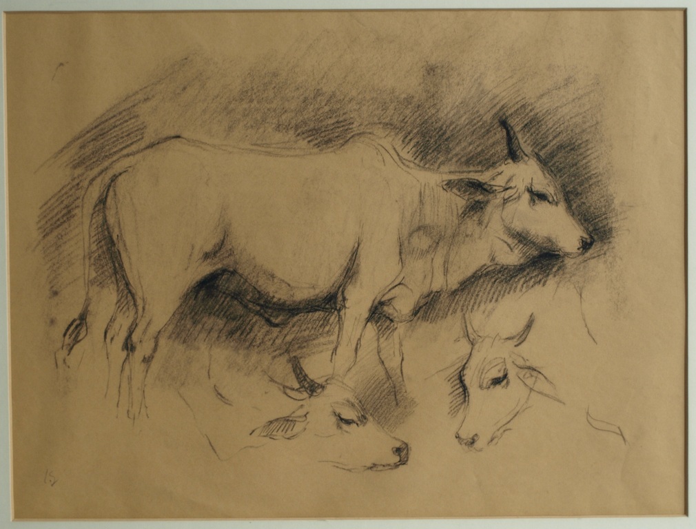 Jan Groenestein : Tekening , Koeien – gesigneerd & ingelijst – ca 1960 verkocht voor € 65!