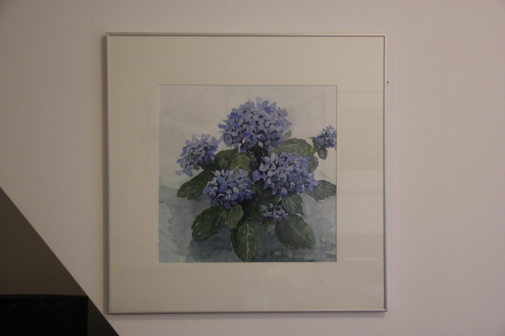 aquarel Hortensia blauw ,Mees Douglas verkocht voor € 110!