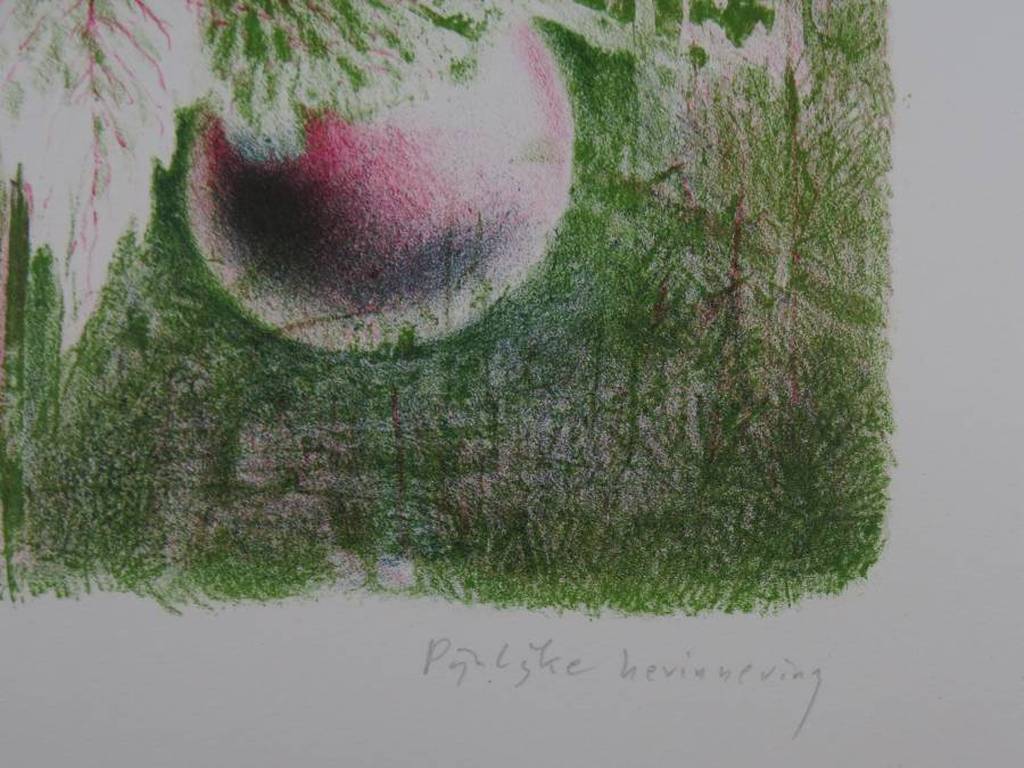 Wout Muller: Litho, Pijnlijke herinnering kopen? Bied vanaf 70!