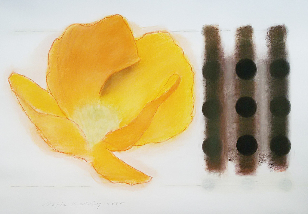Aafke Kelly - Gele papaver, pasteltekening (mooi ingelijst, zeer groot) verkocht voor € 150!