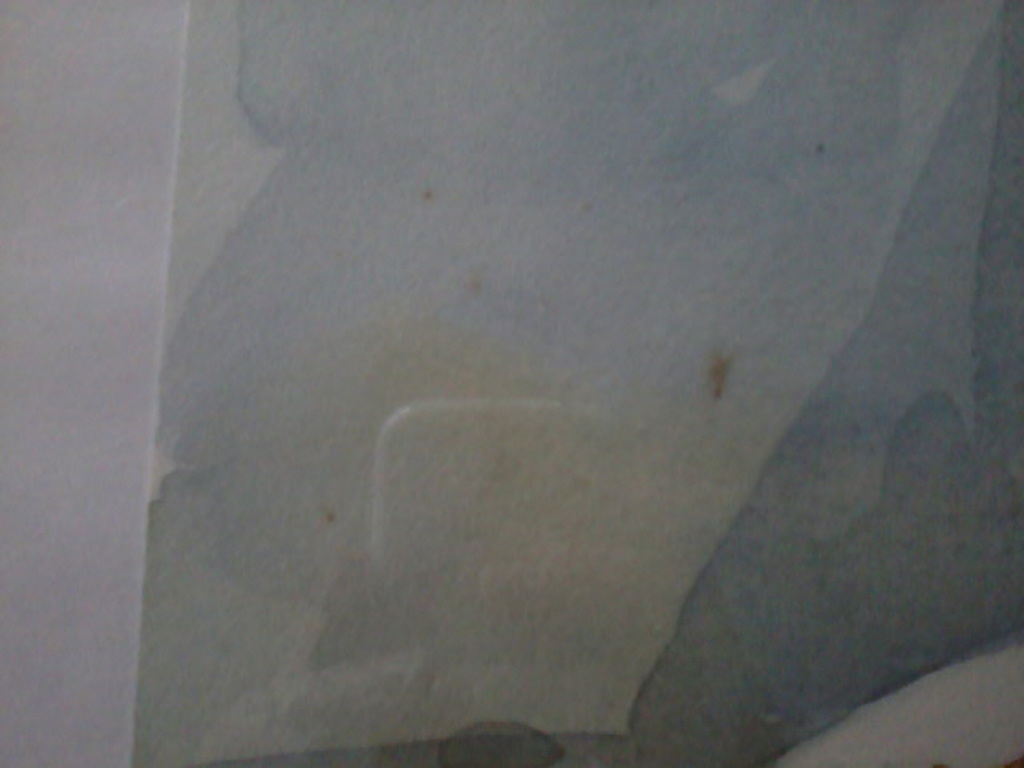 B. Tjeerdema, aquarel, Stilleven met citroenen kopen? Bied vanaf 55!