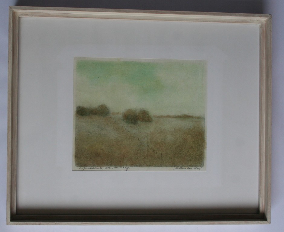 Willem van Hees - ingeschilderde ets - eenmalig - gesigneerd verkocht voor € 40!