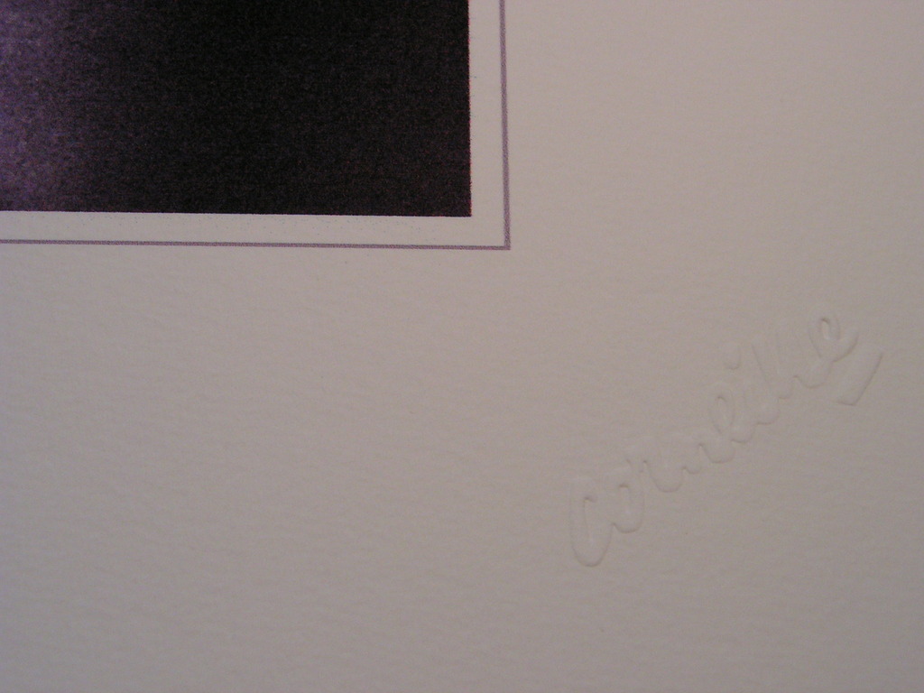 Corneille  -  'naakt' -  piezo fotografie. kopen? Bied vanaf 1!