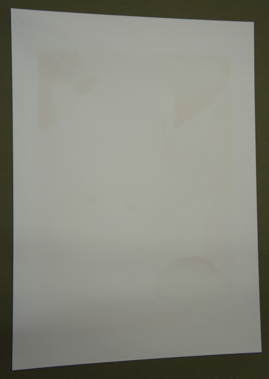 Lithografie - Marie Laurencin, La fille avec l'oiseau bleu kopen? Bied vanaf 25!