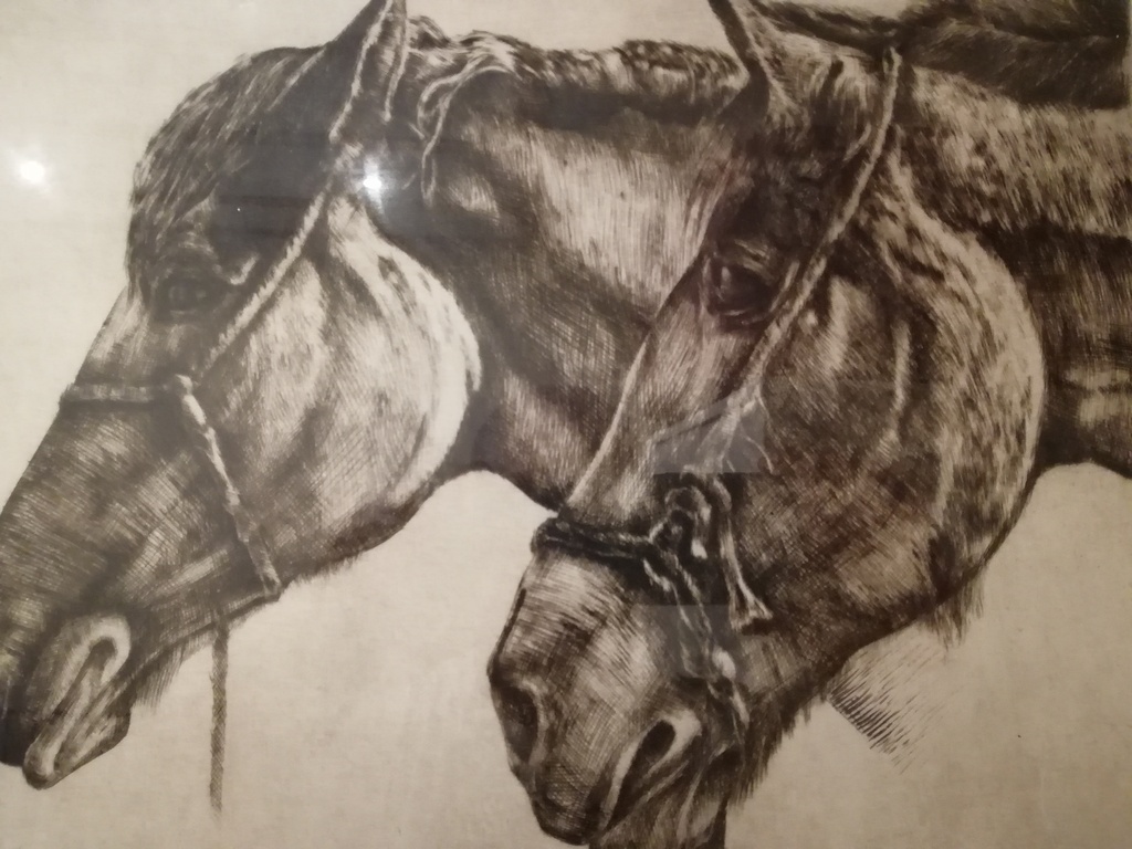 oude houtskool tekening - onbekend kunstenaar - paarden hoofden  kopen? Bied vanaf 20!