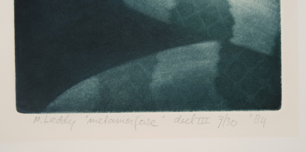 Madeleine Leddy: Lot van 3 mezzotints, Metamorfose kopen? Bied vanaf 50!