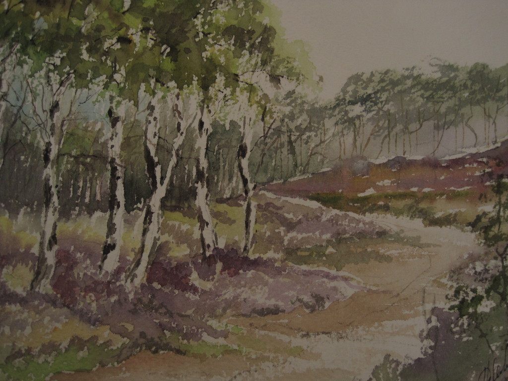 Magnifiek aquarel "Hollands Duinlandschap met berken en heide" gesigneerd kopen? Bied vanaf 1!