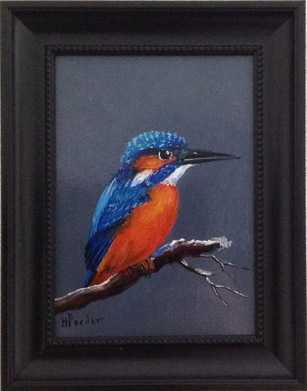 Ijsvogel, olieverf op paneel, Henk Poeder verkocht voor € 70!