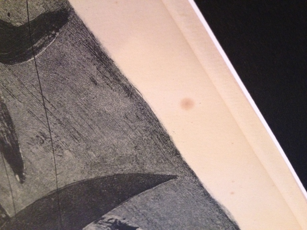 Georges Braque (1892-1963) - Roofets - 'Birds in Flight' kopen? Bied vanaf 1!
