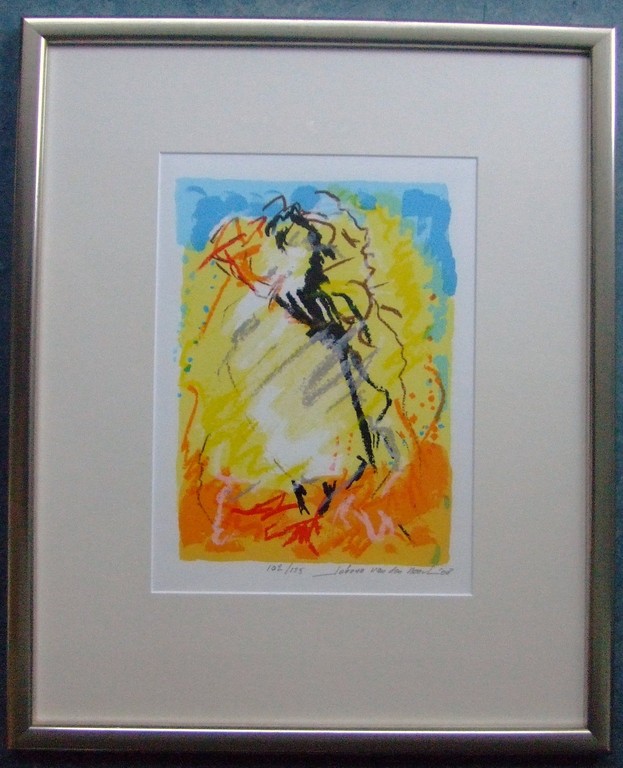 JOHANN VAN DEN NOORT, “Set van drie Papagaai duikers” 2008, zeefdruk. kopen? Bied vanaf 200!
