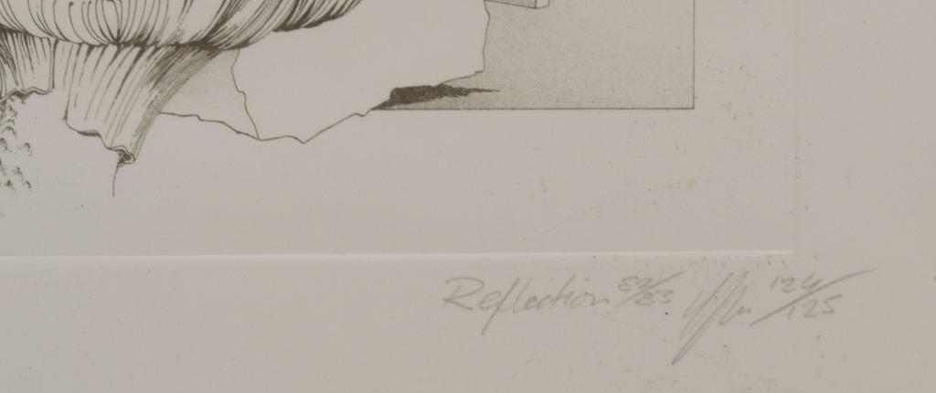 Onbekend gesigneerd: Litho, Reflection - Ingelijst kopen? Bied vanaf 1!