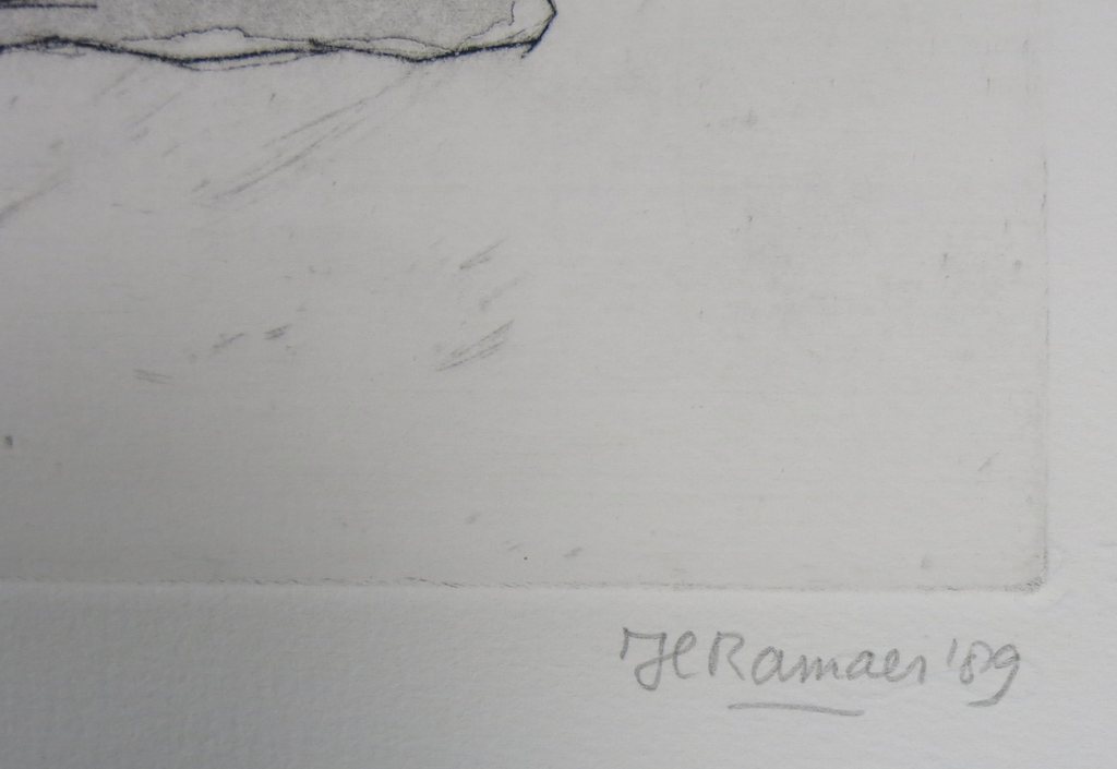 Hanny Ramaer: Ets, Komkommer kopen? Bied vanaf 35!