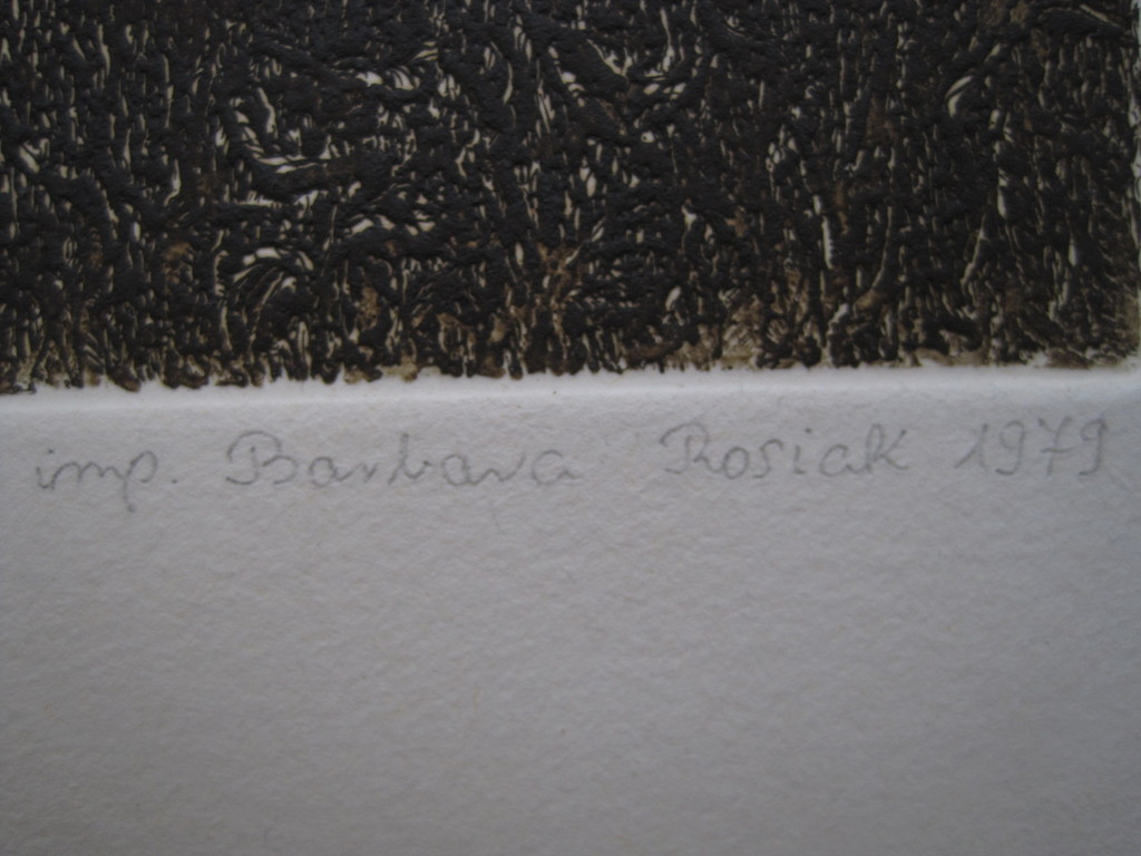 Prachtige ges. Ets "Hendrik 8 & Catharina van Aragon" door Barbara Rosiak 1955 kopen? Bied vanaf 1!