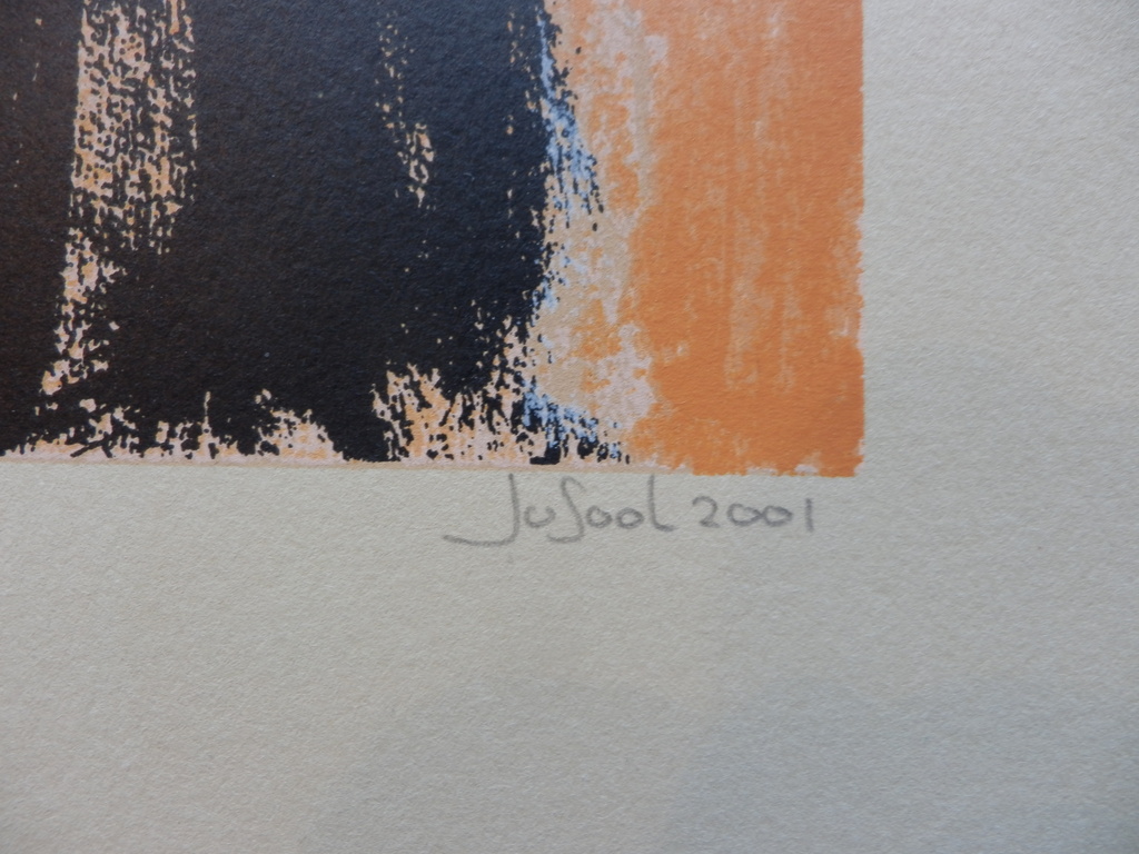 JOSE van GOOL   Zeefdruk   DAME MET WITTE HOED  Handgesigneerd kopen? Bied vanaf 45!