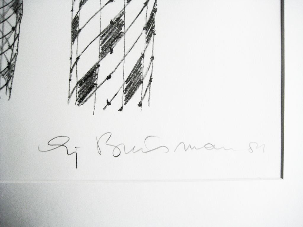 Sjoerd Buisman, Spirals on Trichocereus pachanoi, '81, grote ingelijste litho kopen? Bied vanaf 130!
