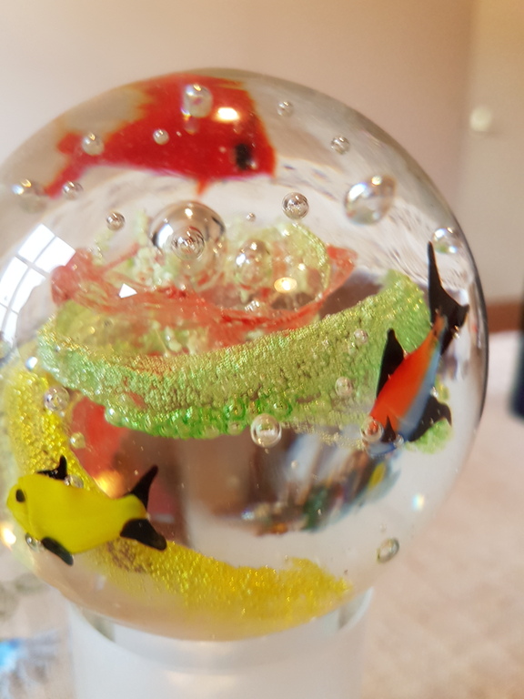 Aquarium presse-papier in Murano glas anni 70 kopen? Bied vanaf 1!