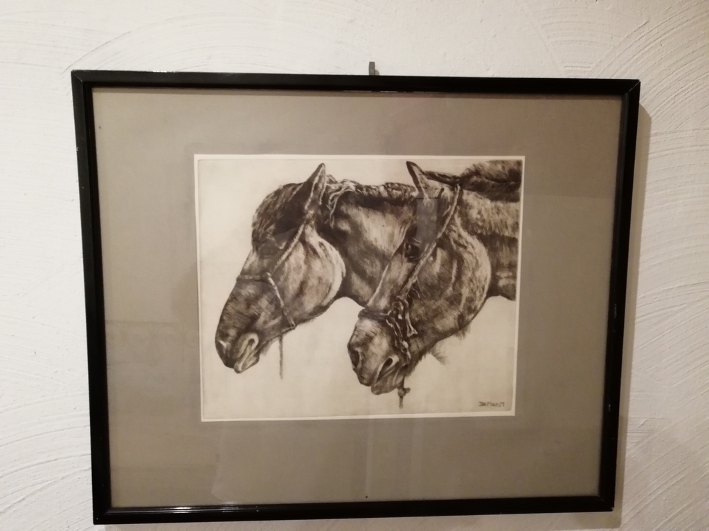 oude houtskool tekening - onbekend kunstenaar - paarden hoofden  kopen? Bied vanaf 20!