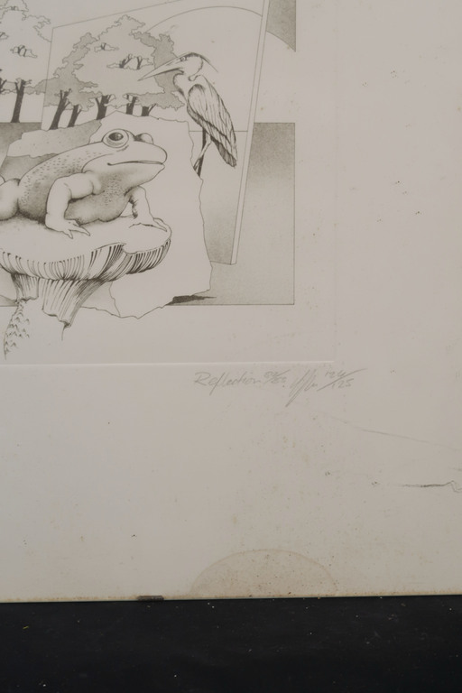 Onbekend gesigneerd: Litho, Reflection - Ingelijst kopen? Bied vanaf 1!