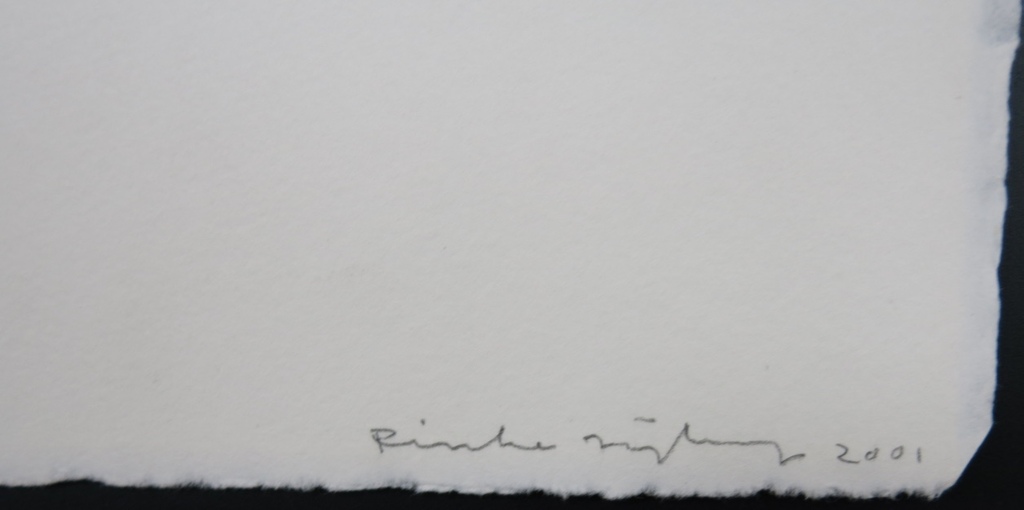 Rinke Nijburg: Ets en litho, de dauw kopen? Bied vanaf 1!