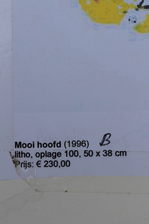 Jef Diederen (1920-2009)- gesigneerd litho - opl. 100 ex. -1996 -galerie Schoots kopen? Bied vanaf 40!