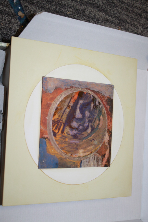 EVOLUON GRAFIEK van PIETER KOOISTRA met DRAAIMECHANIEK kopen? Bied vanaf 39!
