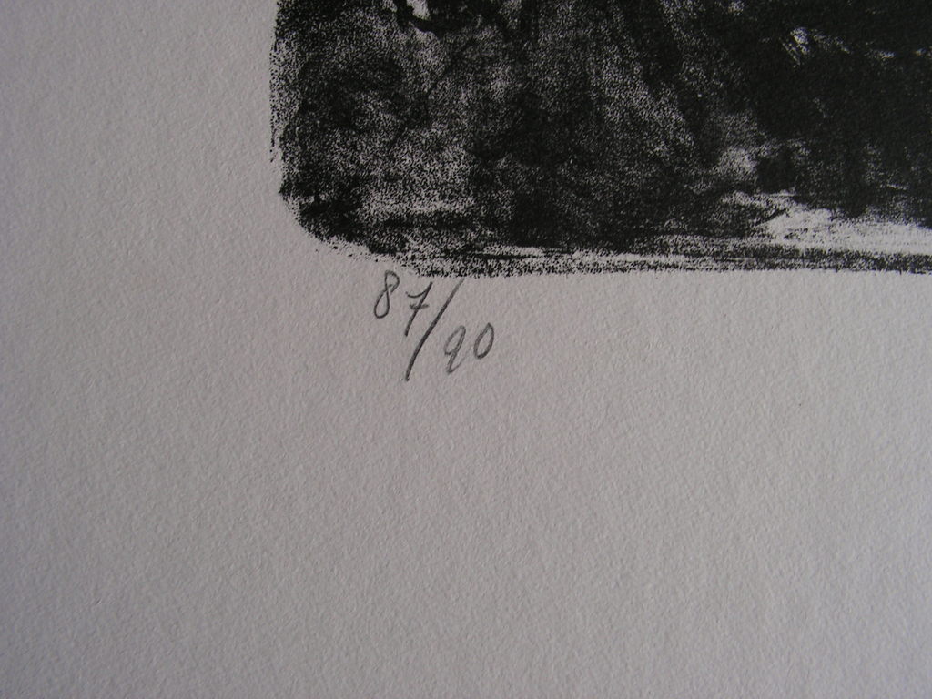 Rein Dool  -  ZT - Lithografie, gesigneerd en genummerd in potlood. Oplage 90. kopen? Bied vanaf 1!