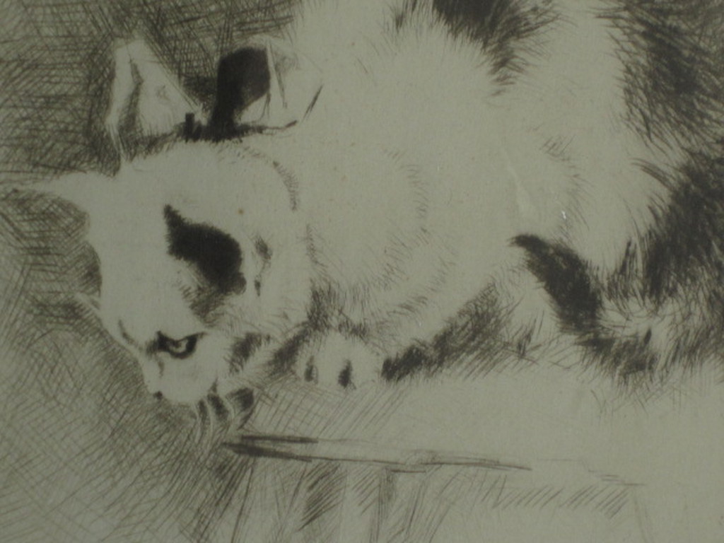 Leuke omstreeks 1930 vervaardigde  ETS "kat en muis spel" onbekende kunstenaar kopen? Bied vanaf 1!