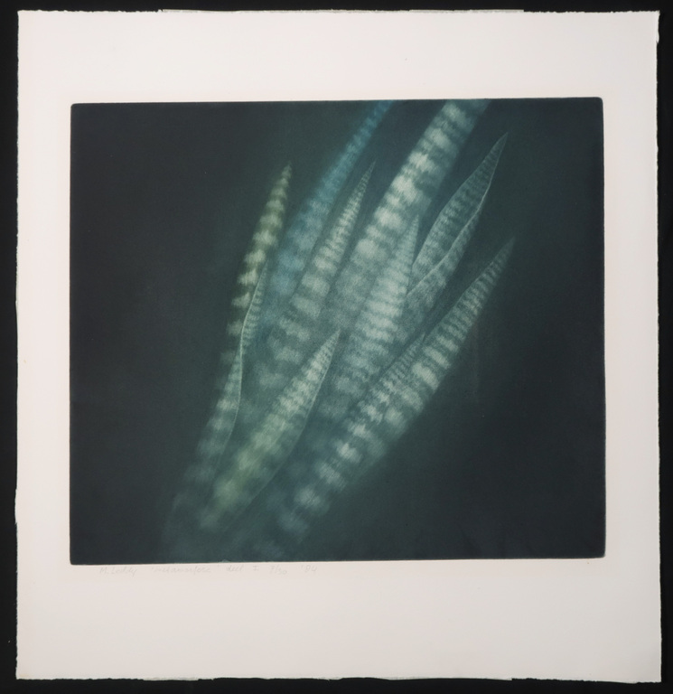Madeleine Leddy: Lot van 3 mezzotints, Metamorfose kopen? Bied vanaf 50!