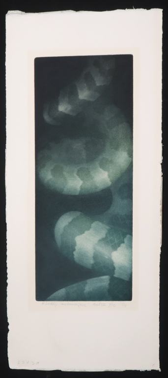 Madeleine Leddy: Lot van 3 mezzotints, Metamorfose kopen? Bied vanaf 50!