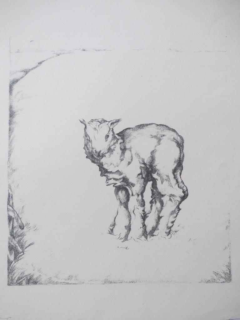 Kees van Urk, Lammetje, Litho kopen? Bied vanaf 50!