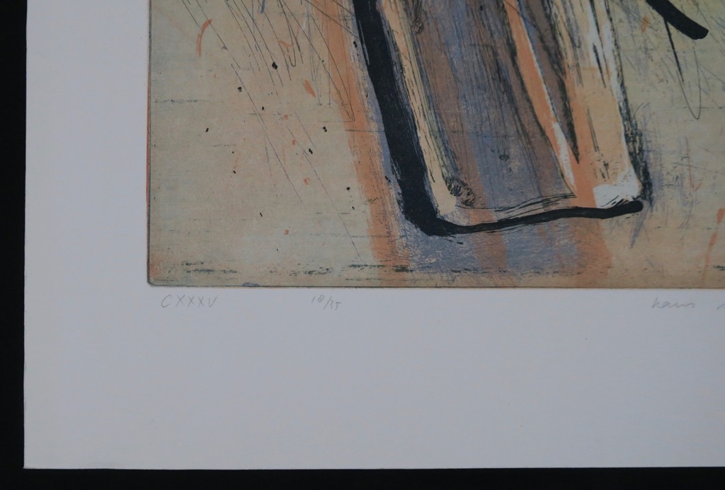 Hans Vredegoor: Ets en Aquatint, CXXXV kopen? Bied vanaf 1!