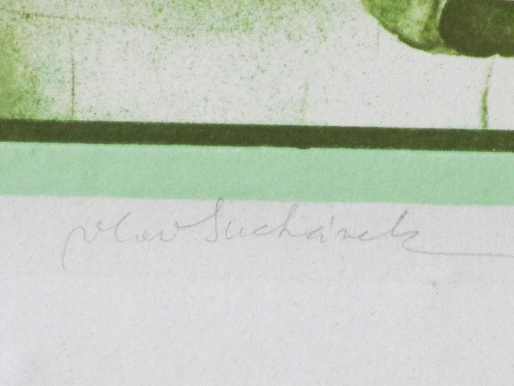 Vladimir Suchanek, Vrouw met slang en appel, Kleurenlitho kopen? Bied vanaf 55!