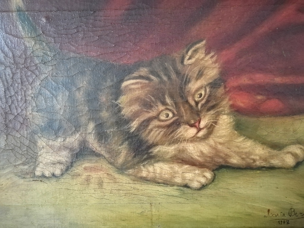 onbekend kunstenaar - olieverf op doek - speels poesje kopen? Bied vanaf 1!