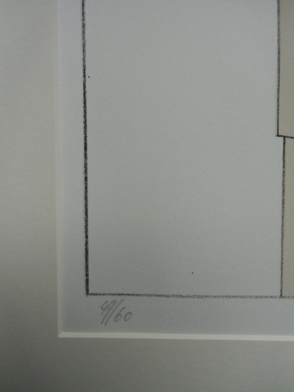 STILLEVEN   ///   KLEURENLITHO VAN JEROEN HENNEMAN kopen? Bied vanaf 90!