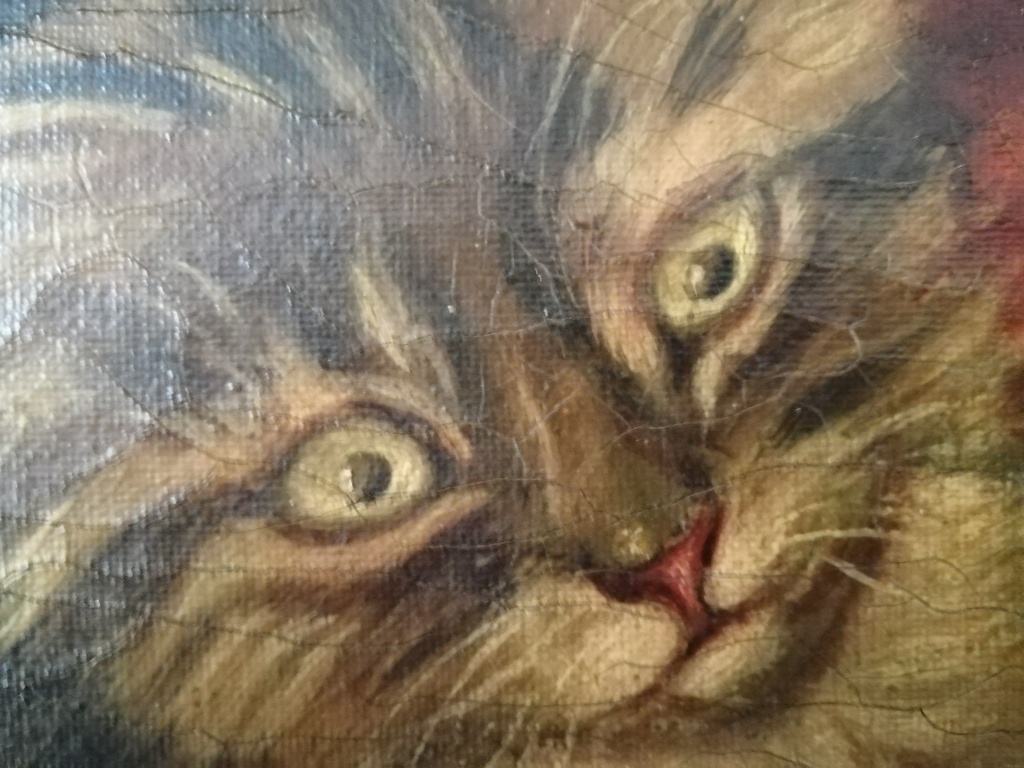 onbekend kunstenaar - olieverf op doek - speels poesje kopen? Bied vanaf 1!