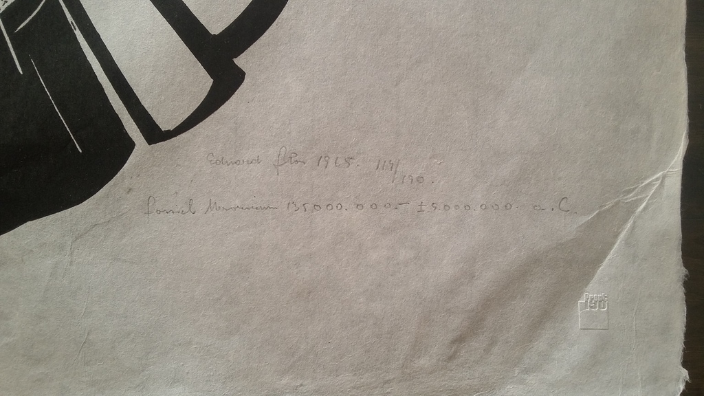 Eduard Flor: Linosnede, Ammoniet, Mesozoicum kopen? Bied vanaf 35!