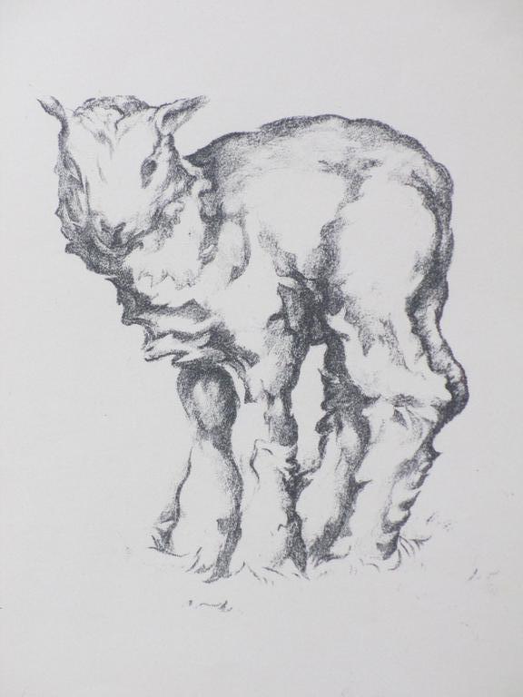 Kees van Urk, Lammetje, Litho kopen? Bied vanaf 50!