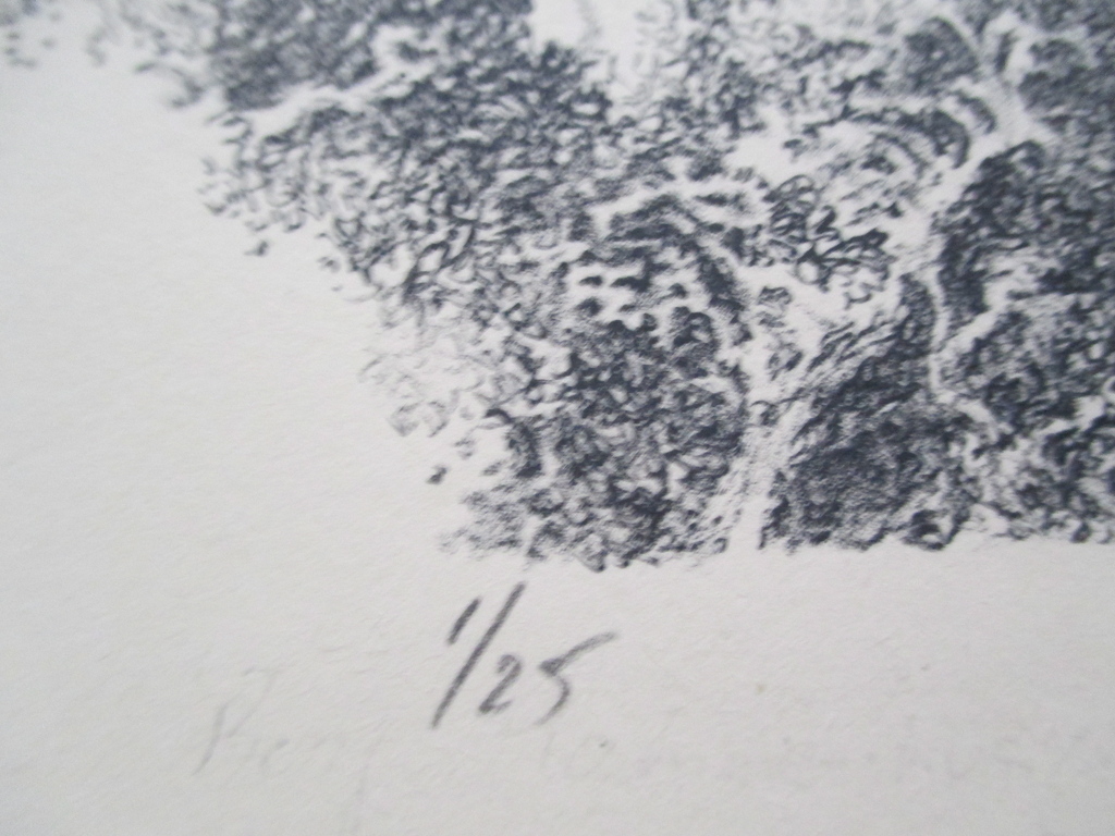 Onbekend gesigneerd, litho "Hamlet" '93 kopen? Bied vanaf 1!