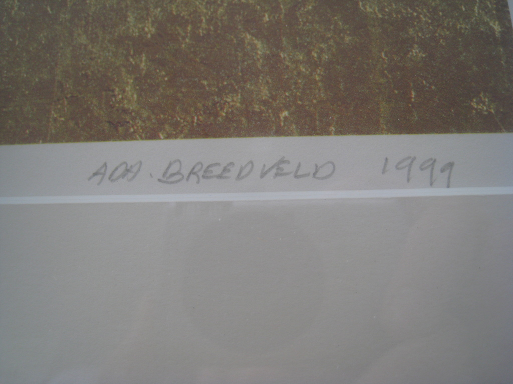 Ada Breedveld zeefdruk  kopen? Bied vanaf 35!