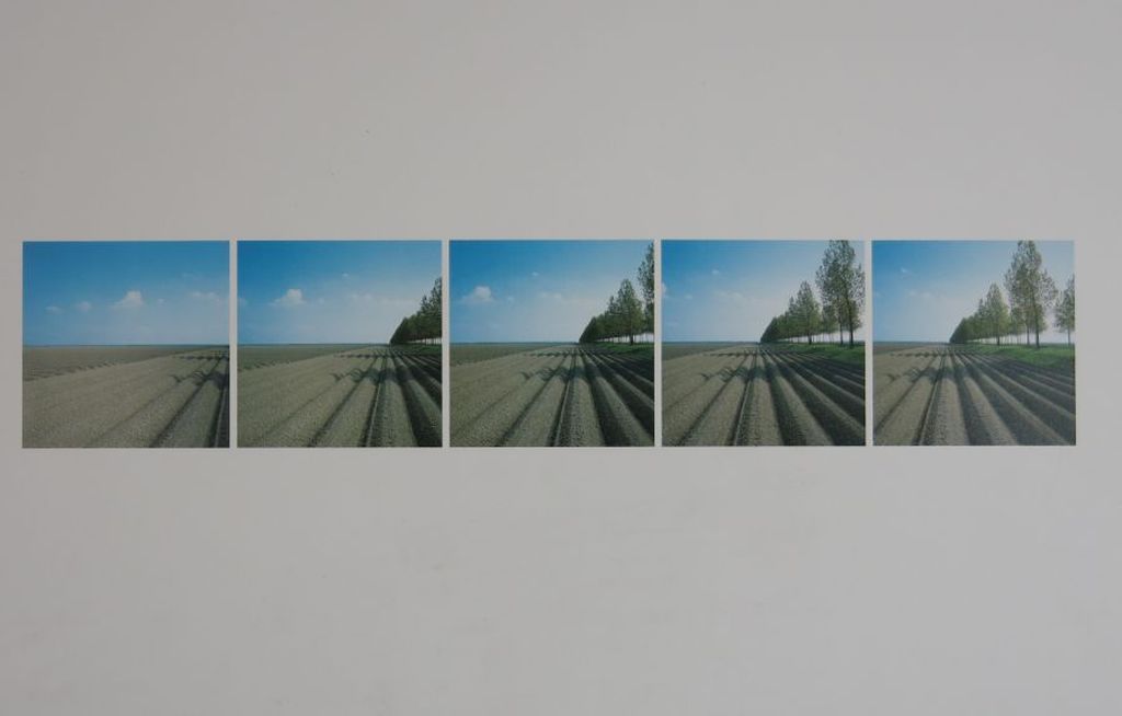 Ger Dekkers: Offset, Plough-land and shadows, Flevoland kopen? Bied vanaf 40!