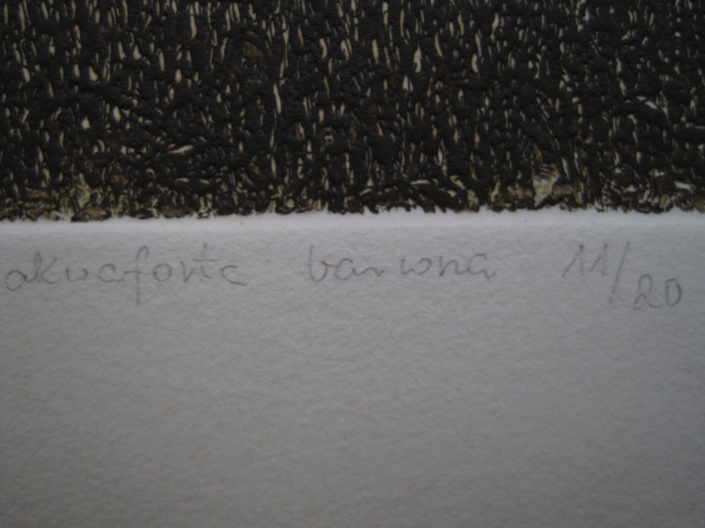 Prachtige ges. Ets "Hendrik 8 & Catharina van Aragon" door Barbara Rosiak 1955 kopen? Bied vanaf 1!