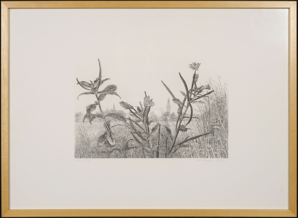 Han van Hagen: Ets en aquatint, Onkruid - Ingelijst kopen? Bied vanaf 35!