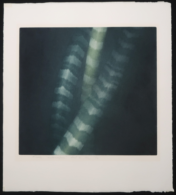 Madeleine Leddy: Lot van 3 mezzotints, Metamorfose kopen? Bied vanaf 50!