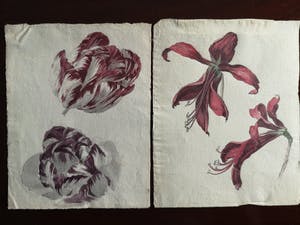 Niet of onleesbaar gesigneerd - Bloemen (5X) kopen? Bied vanaf 1!