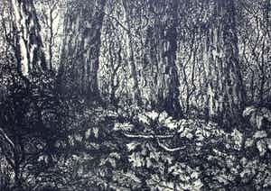 Jan van den Thillart - Litho: Herfstbos - 1957 verkocht voor € 85!