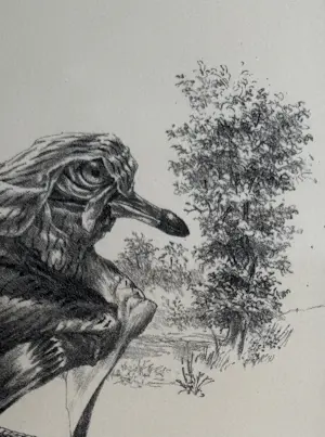 Peter Vos - handgesigneerde litho | 'Griel' | 1973 (De Luis) kopen? Bied vanaf 150!