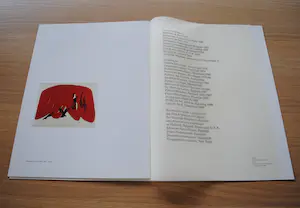 Lei Molin - Bijzondere uitgave met litho kopen? Bied vanaf 35!